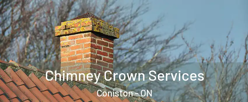  Chimney Crown Services Coniston - ON
