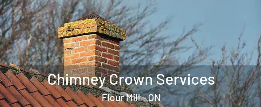  Chimney Crown Services Flour Mill - ON
