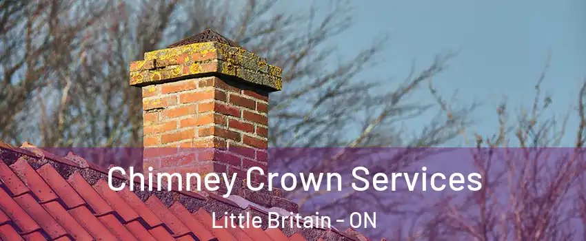  Chimney Crown Services Little Britain - ON
