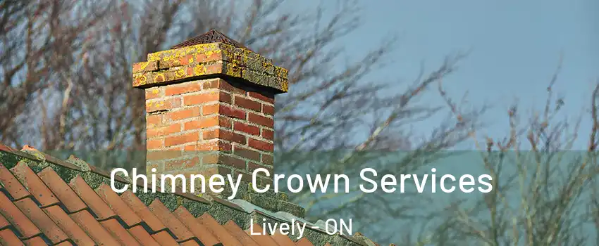  Chimney Crown Services Lively - ON