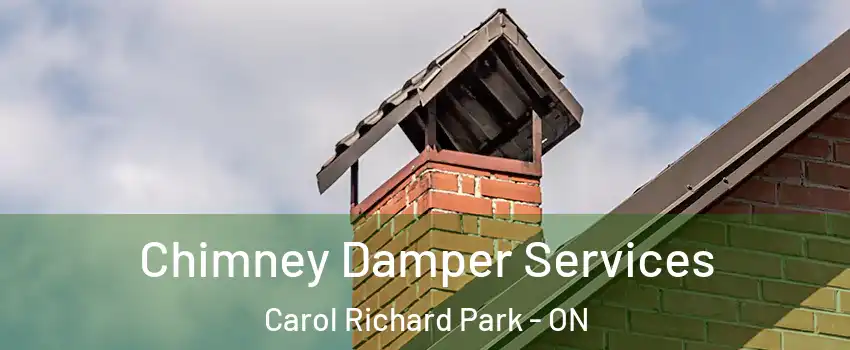 Chimney Damper Services Carol Richard Park - ON
