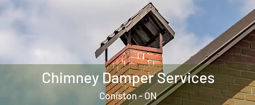  Chimney Damper Services Coniston - ON