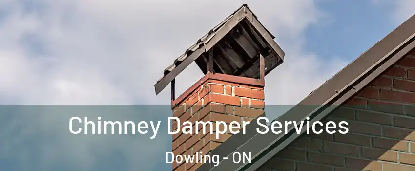  Chimney Damper Services Dowling - ON