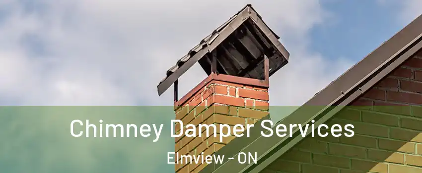  Chimney Damper Services Elmview - ON