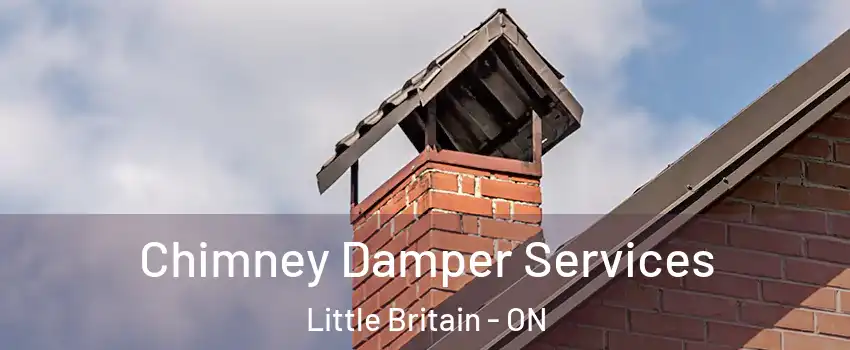  Chimney Damper Services Little Britain - ON