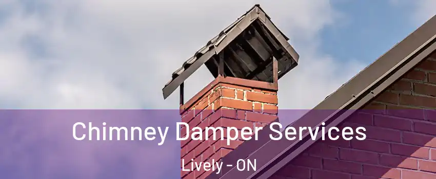  Chimney Damper Services Lively - ON