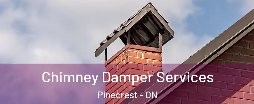  Chimney Damper Services Pinecrest - ON