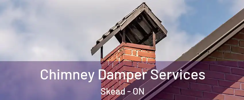  Chimney Damper Services Skead - ON