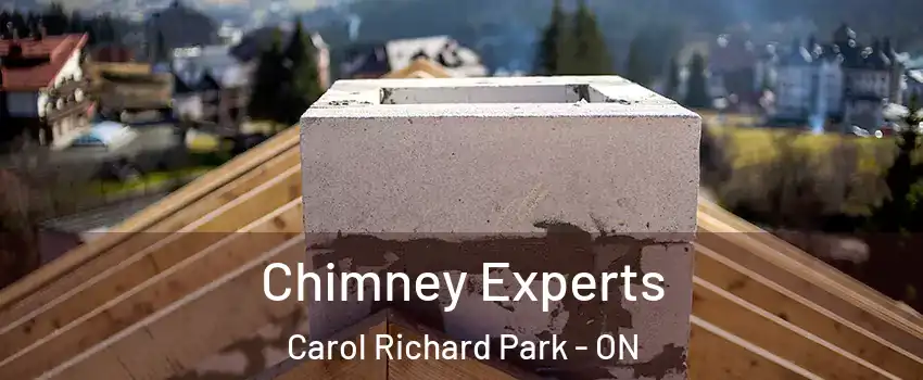 Chimney Experts Carol Richard Park - ON