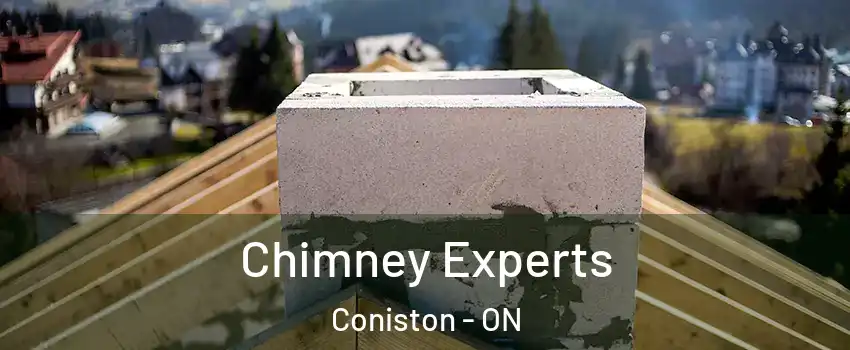 Chimney Experts Coniston - ON