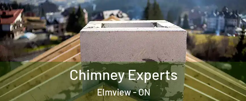 Chimney Experts Elmview - ON