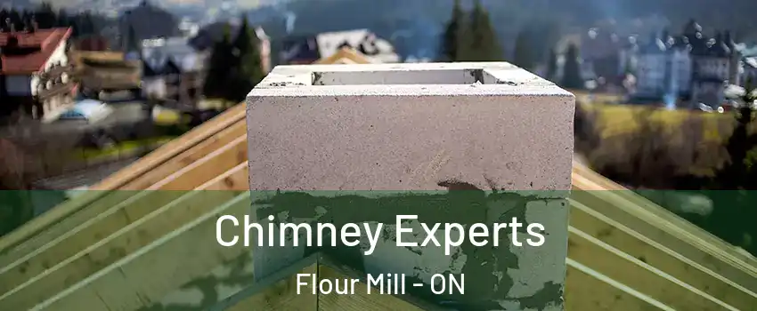 Chimney Experts Flour Mill - ON