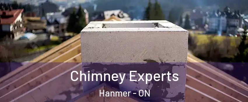 Chimney Experts Hanmer - ON