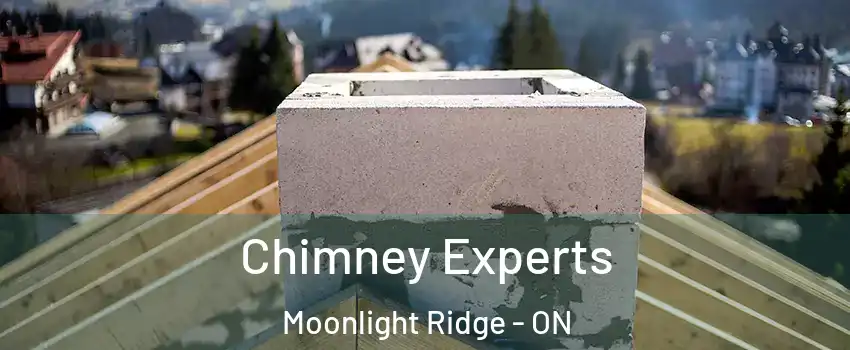 Chimney Experts Moonlight Ridge - ON