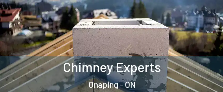 Chimney Experts Onaping - ON