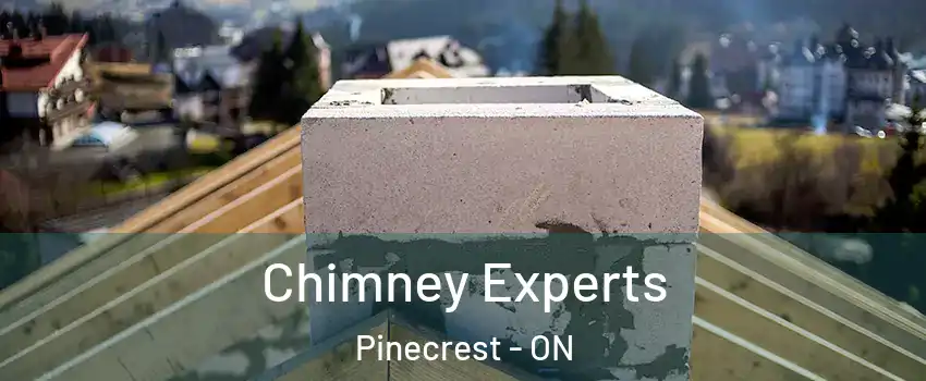 Chimney Experts Pinecrest - ON