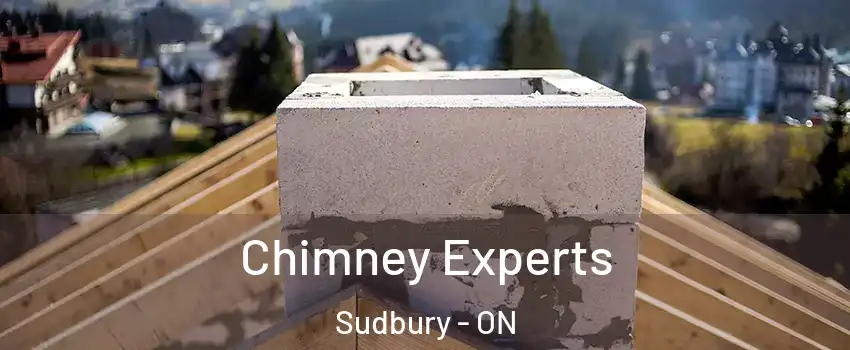  Chimney Experts Sudbury - ON