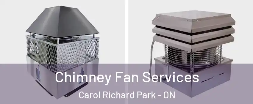  Chimney Fan Services Carol Richard Park - ON