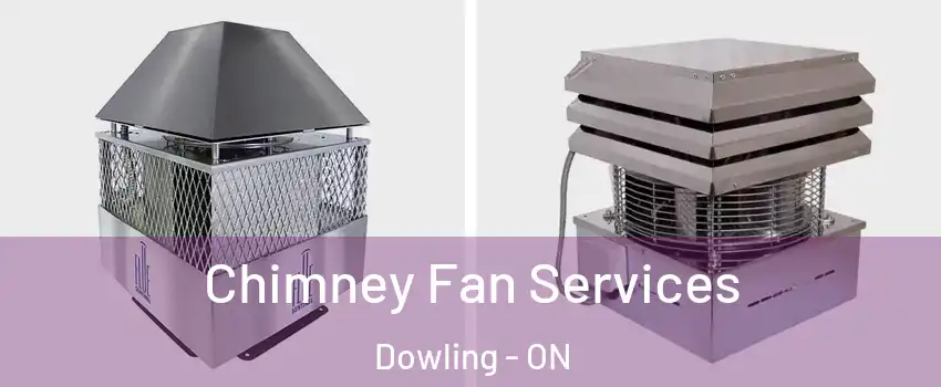  Chimney Fan Services Dowling - ON