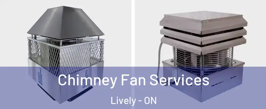  Chimney Fan Services Lively - ON