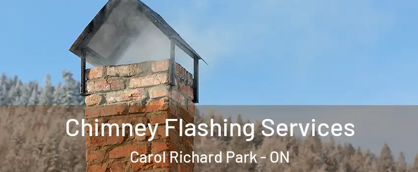 Chimney Flashing Services Carol Richard Park - ON