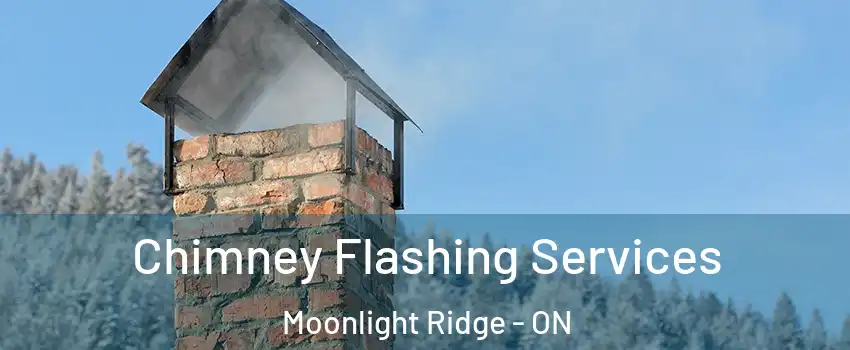 Chimney Flashing Services Moonlight Ridge - ON