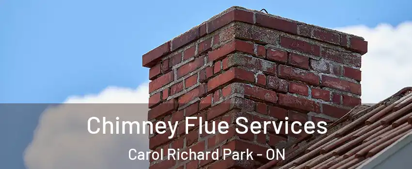  Chimney Flue Services Carol Richard Park - ON
