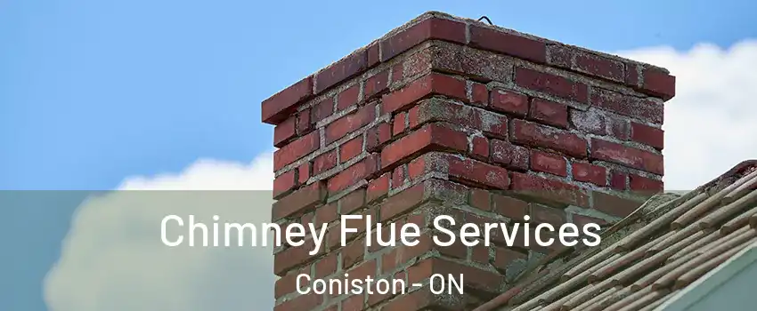  Chimney Flue Services Coniston - ON