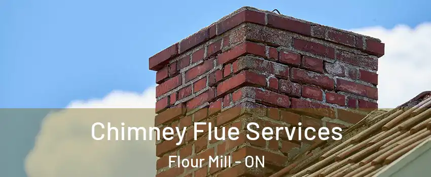  Chimney Flue Services Flour Mill - ON