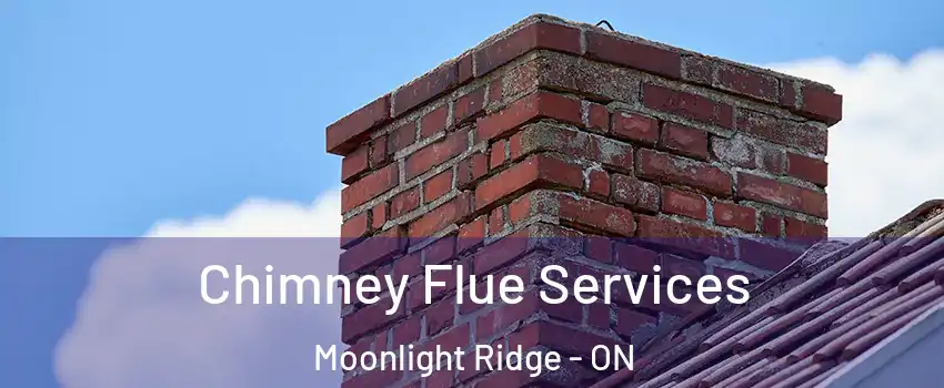  Chimney Flue Services Moonlight Ridge - ON