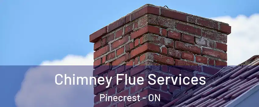  Chimney Flue Services Pinecrest - ON