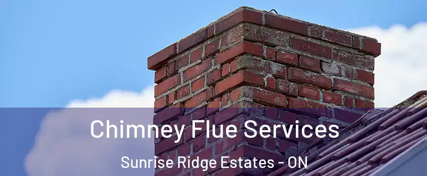  Chimney Flue Services Sunrise Ridge Estates - ON