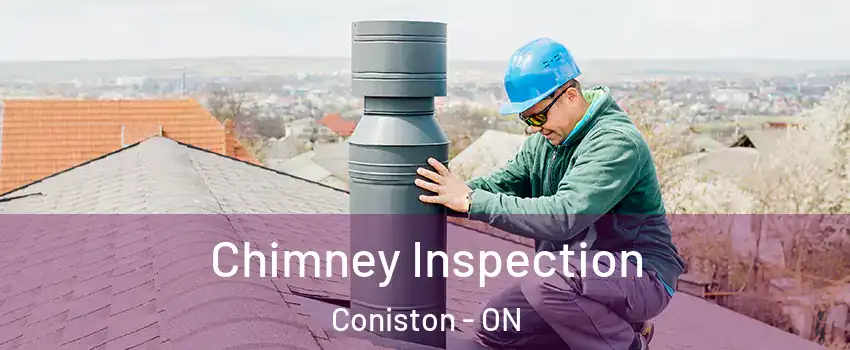  Chimney Inspection Coniston - ON