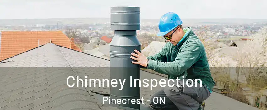  Chimney Inspection Pinecrest - ON