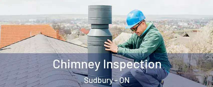  Chimney Inspection Sudbury - ON