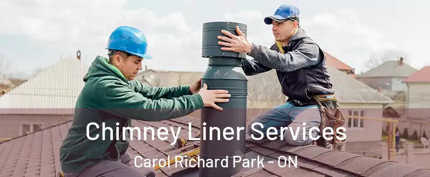  Chimney Liner Services Carol Richard Park - ON