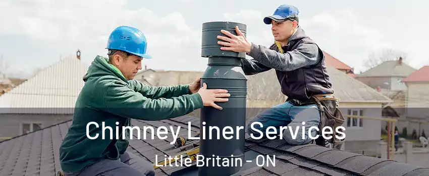  Chimney Liner Services Little Britain - ON