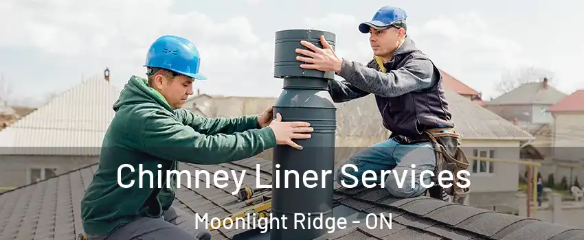  Chimney Liner Services Moonlight Ridge - ON