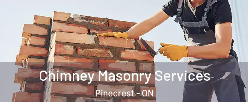  Chimney Masonry Services Pinecrest - ON