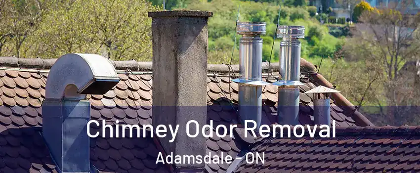  Chimney Odor Removal Adamsdale - ON