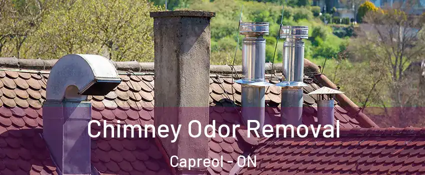  Chimney Odor Removal Capreol - ON