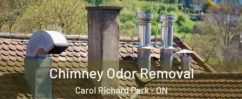  Chimney Odor Removal Carol Richard Park - ON
