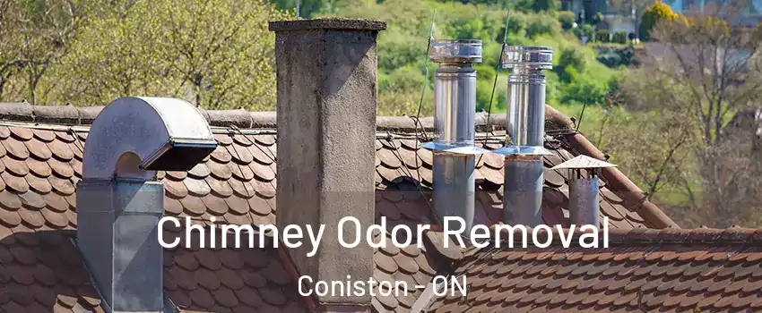  Chimney Odor Removal Coniston - ON
