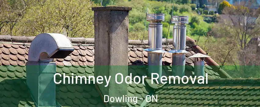  Chimney Odor Removal Dowling - ON