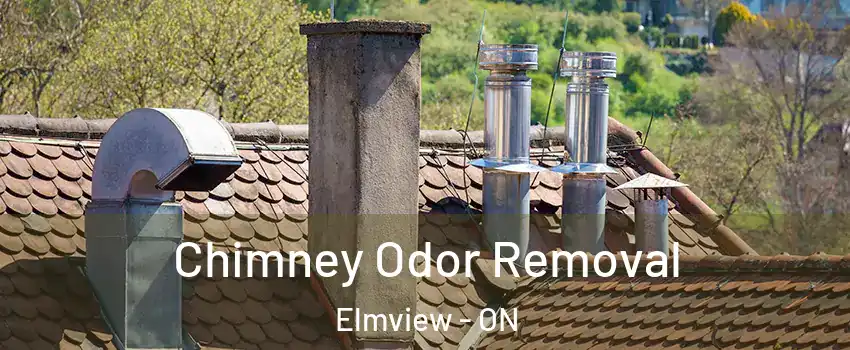  Chimney Odor Removal Elmview - ON