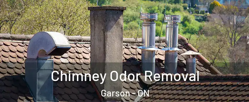  Chimney Odor Removal Garson - ON
