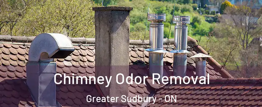  Chimney Odor Removal Greater Sudbury - ON