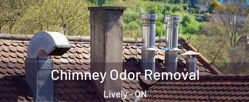  Chimney Odor Removal Lively - ON