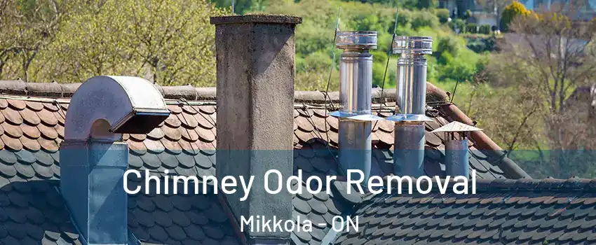  Chimney Odor Removal Mikkola - ON