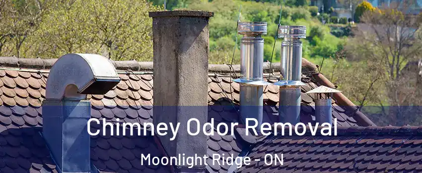  Chimney Odor Removal Moonlight Ridge - ON